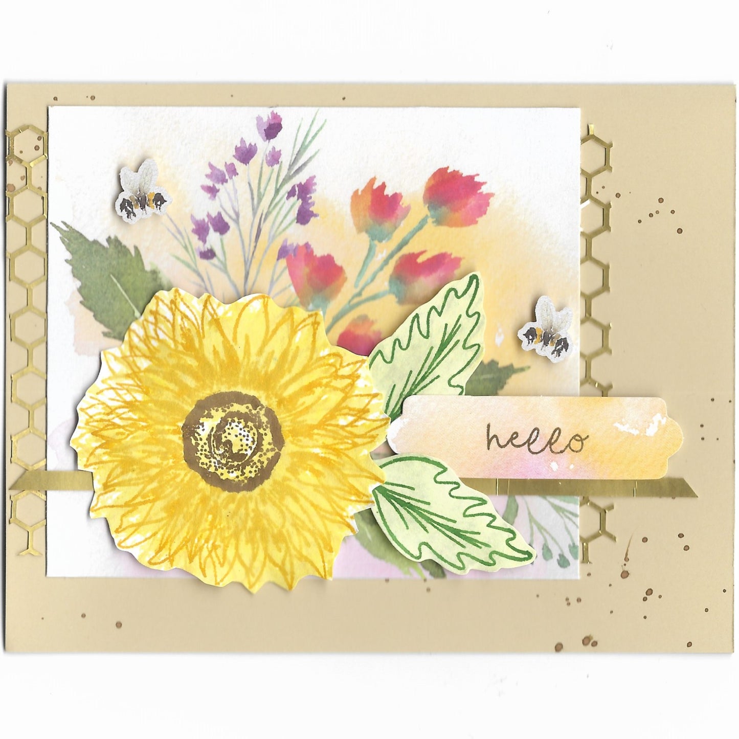Greeting Cards, All Occasion - NEW!
