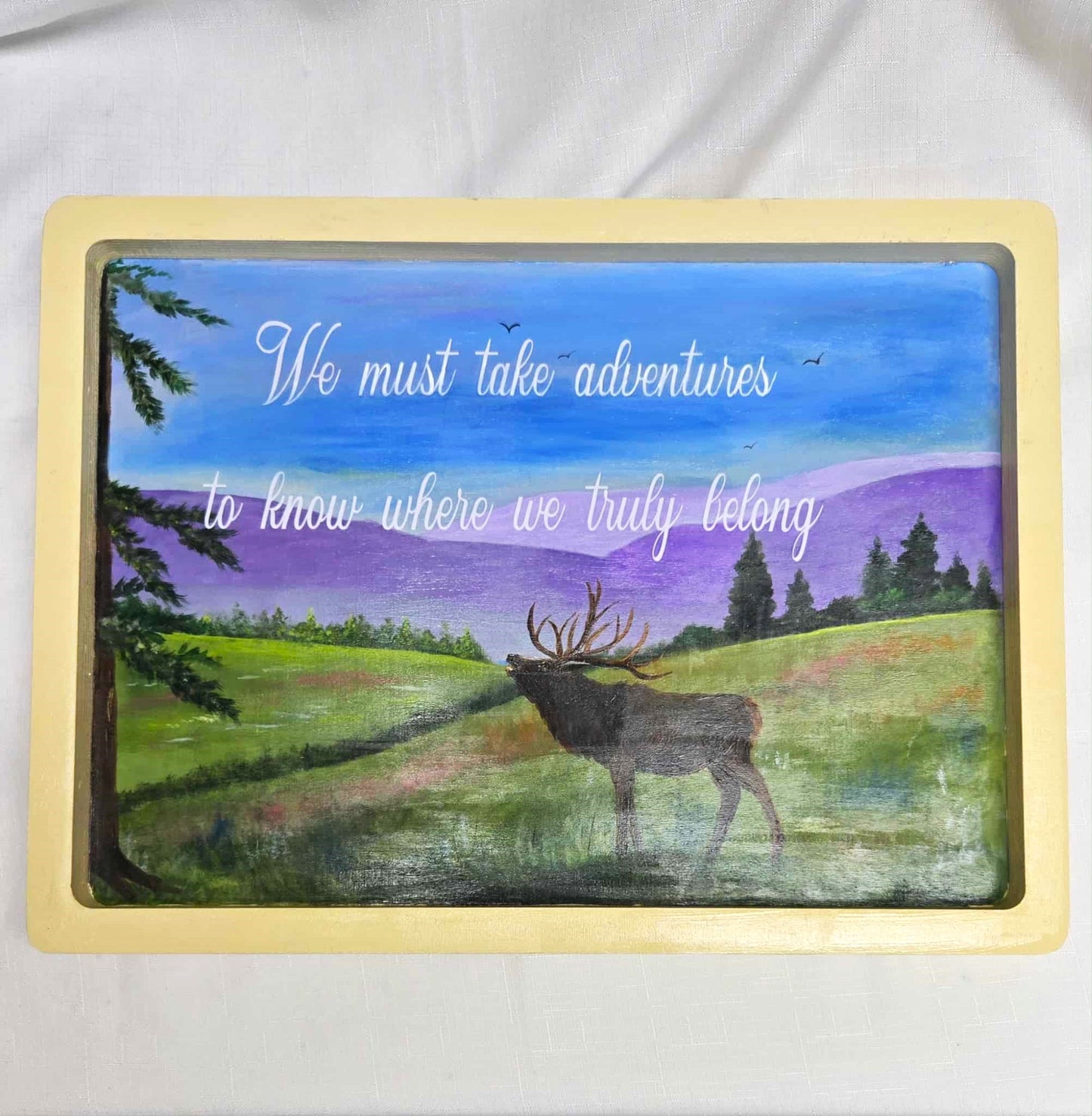 Handpainted Framed Boards